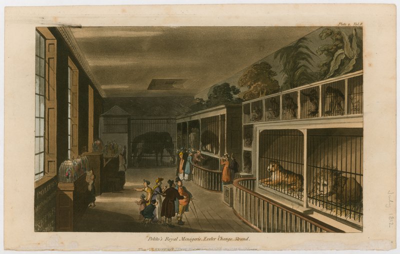 Ménagerie royale de Polito, Exeter Change, Strand - English School