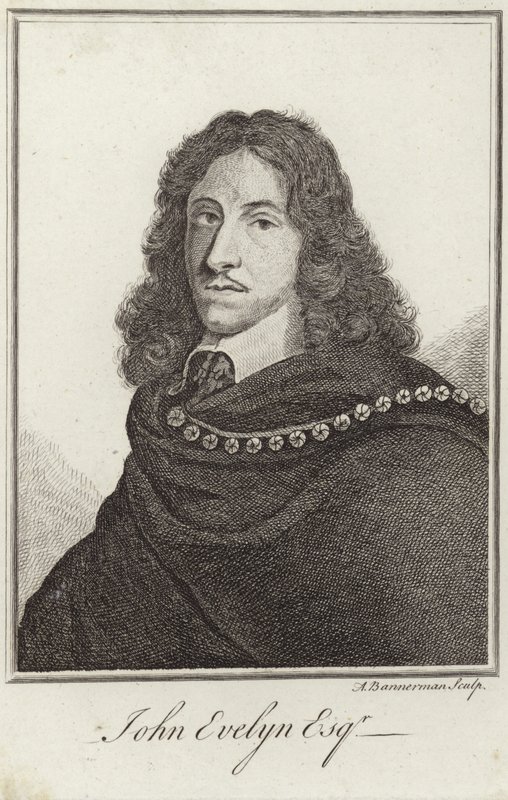 Portrait de John Evelyn - English School