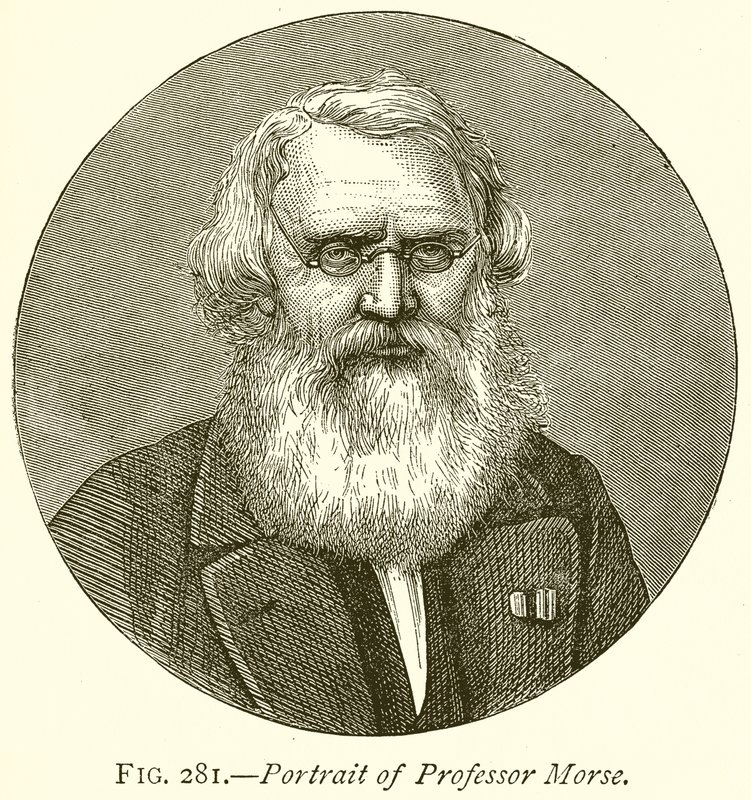 Portrait du professeur Morse - English School