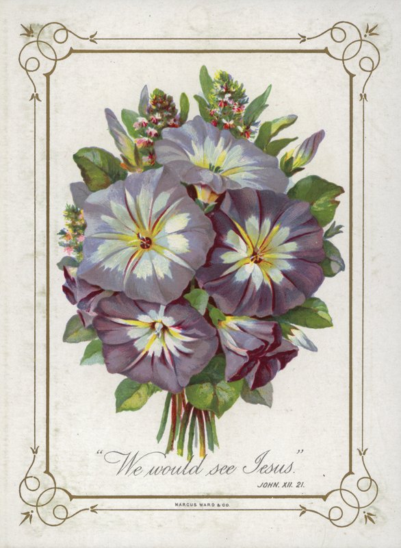 Bouquet de fleurs - English School