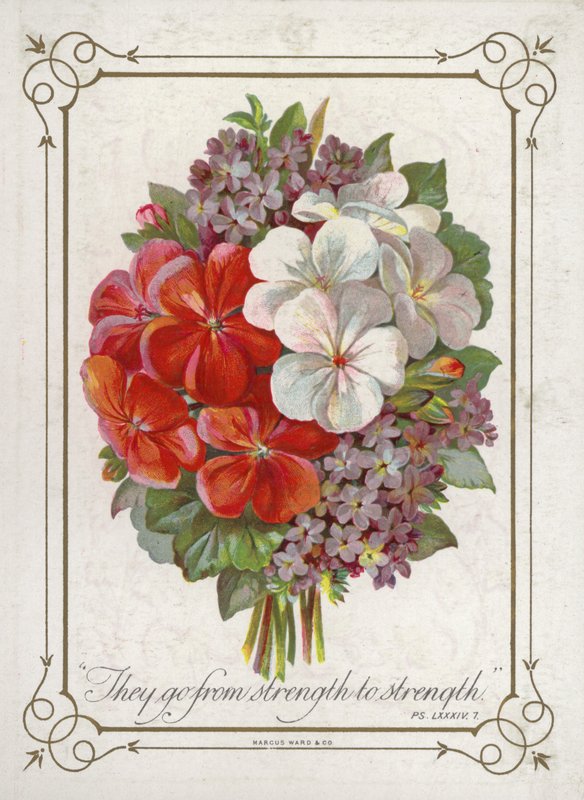 Bouquet de fleurs - English School