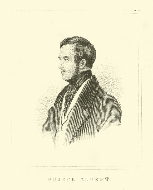 Prince Albert - English School