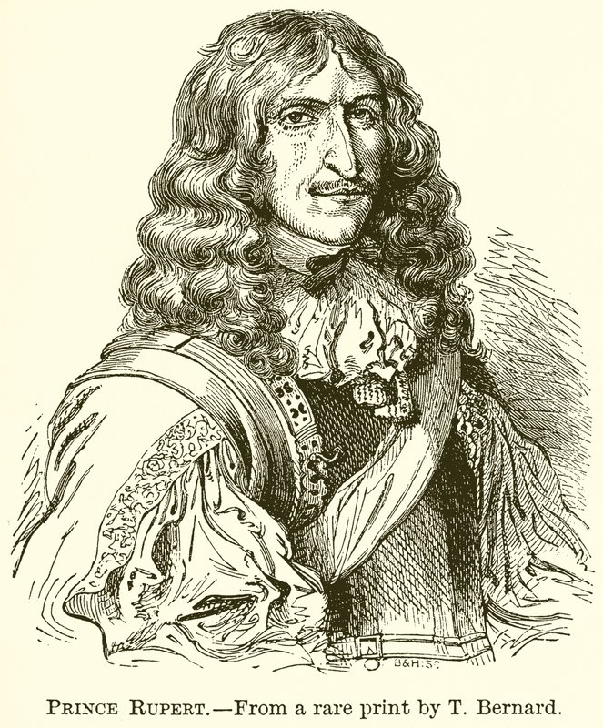 Prince Rupert - English School