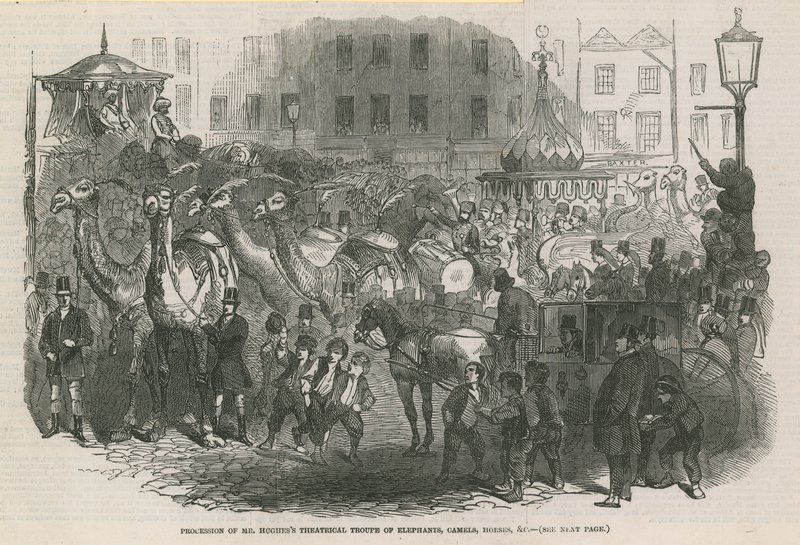 Procession de la troupe théâtrale de Mr Hughes avec des éléphants, chameaux, chevaux, etc. - English School