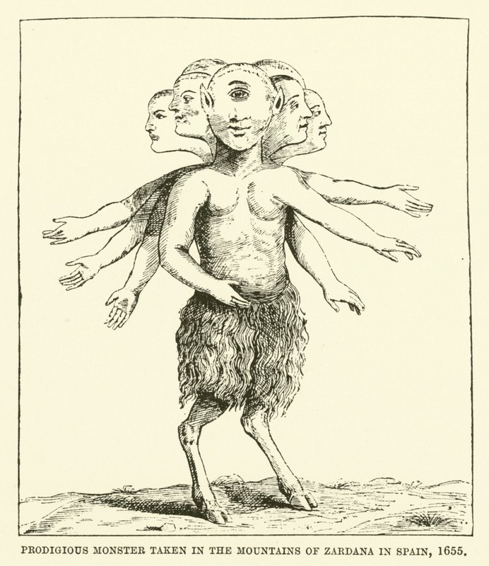 Monstre prodigieux pris dans les montagnes de Zardana en Espagne, 1655 - English School