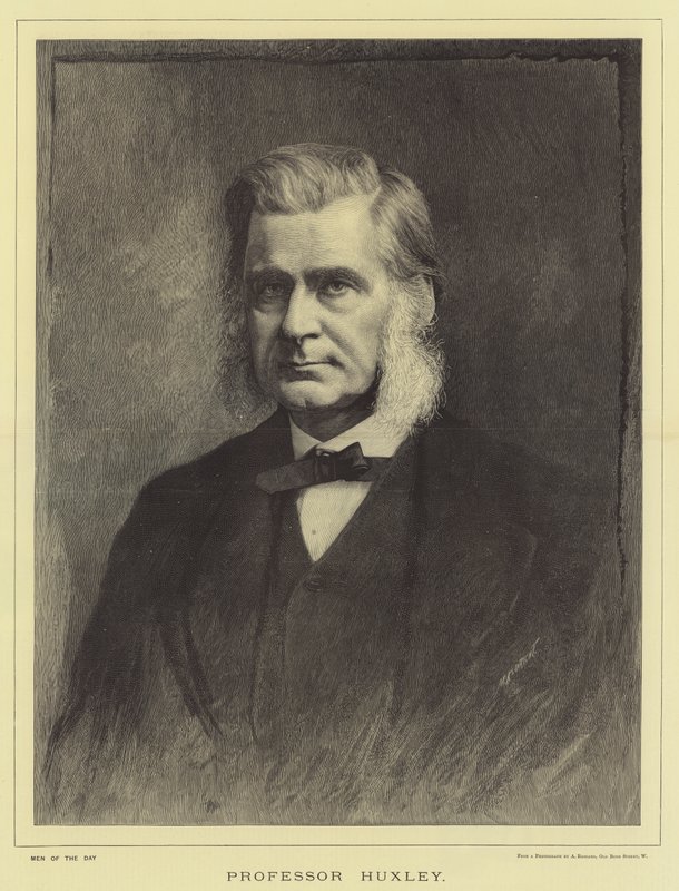 Professeur Huxley - English School