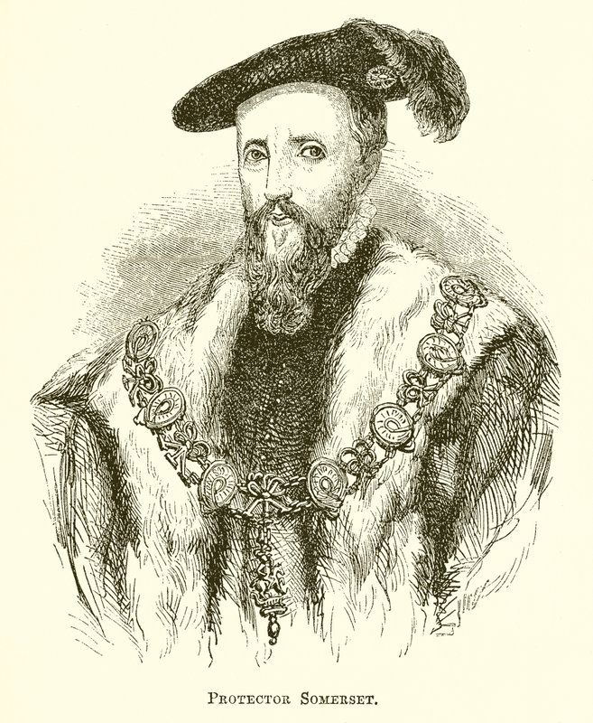 Protecteur Somerset - English School