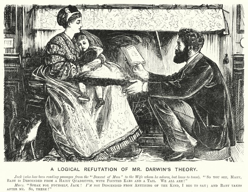 Une Réfutation Logique de la Théorie de M. Darwin - English School