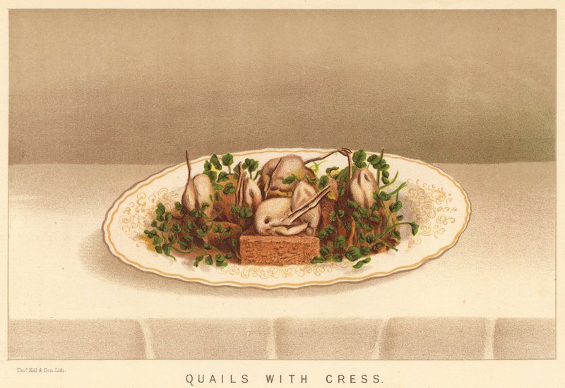 Cailles avec Cresson - English School