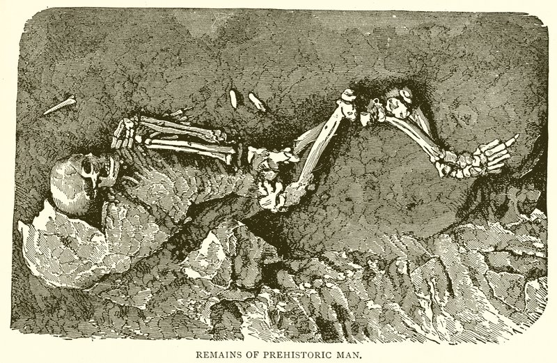 Restes de l