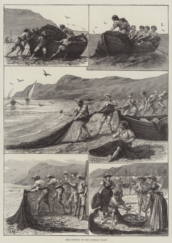 Pêche à la reta sur la côte corse (gravure) - English School