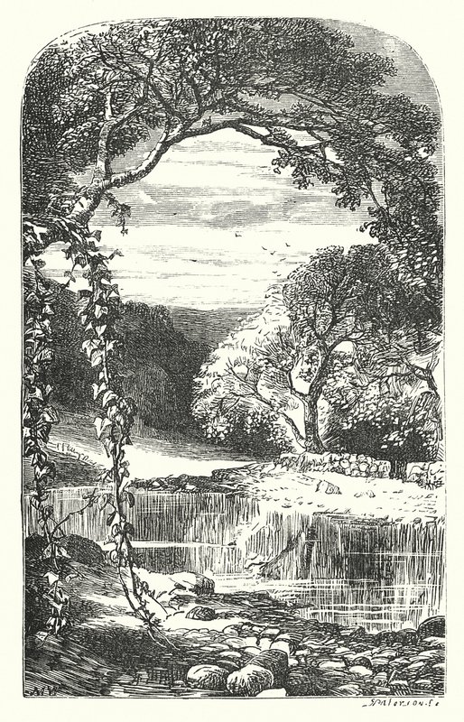 Retour du printemps - English School
