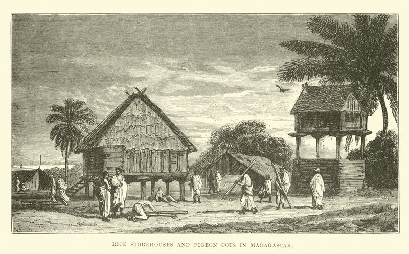 Granges à riz et pigeonniers à Madagascar - English School