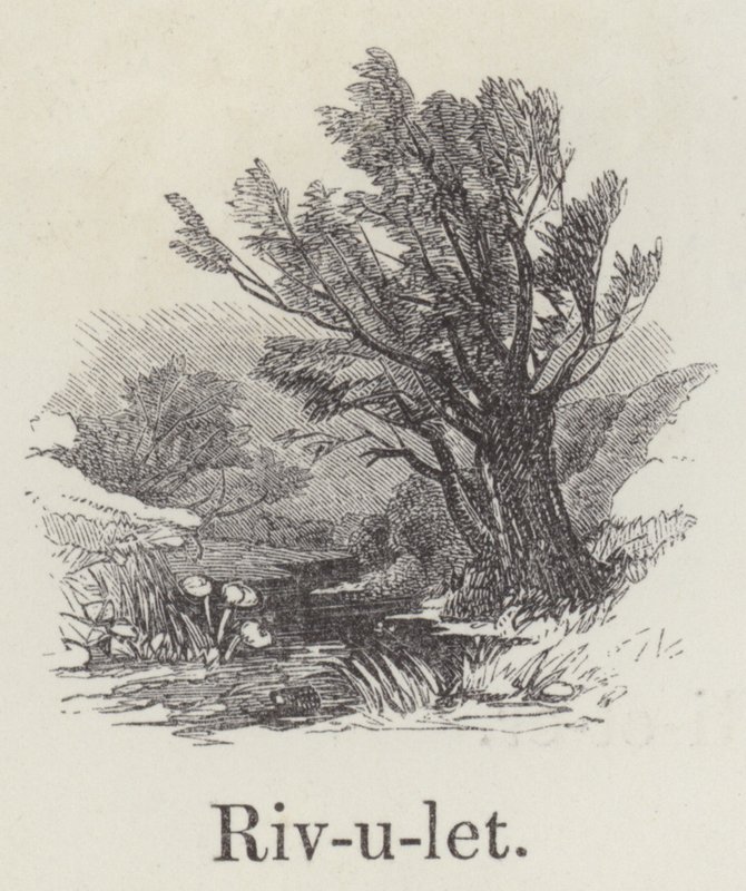 Ruisselet - English School
