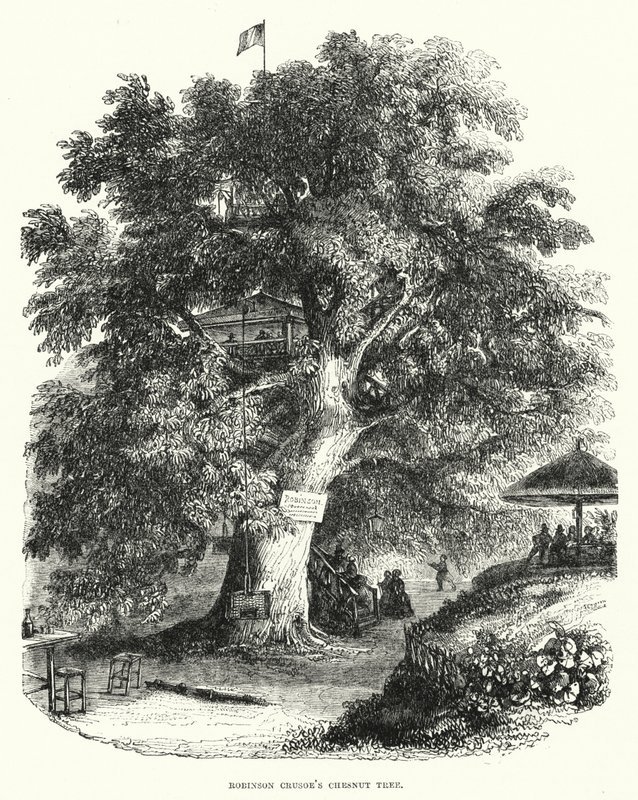 Le châtaignier de Robinson Crusoé - English School