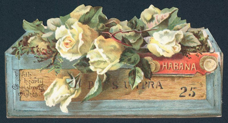 Roses dans une boîte à cigares, Carte de Noël - English School