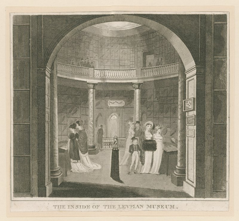 Rotonde au musée Leverian - English School
