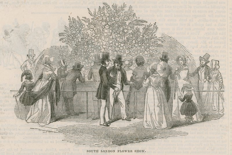 Société horticole royale du sud de Londres - English School