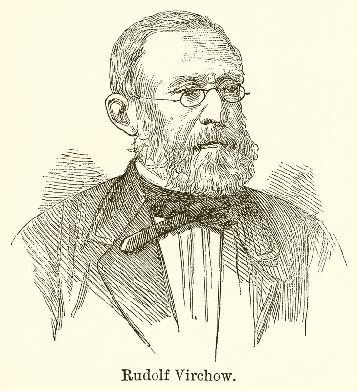 Rudolf Virchow - English School