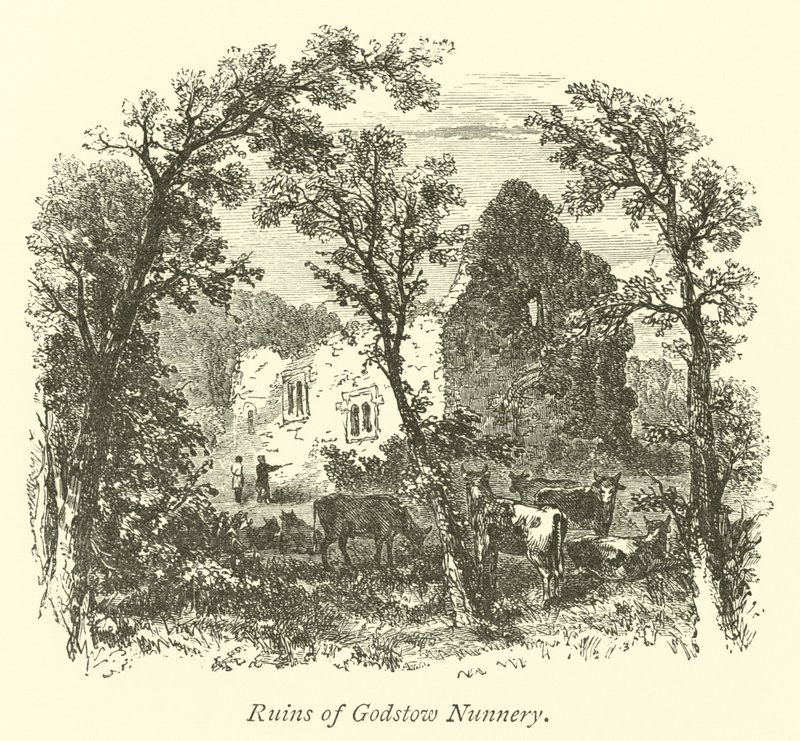 Ruines du couvent de Godstow - English School