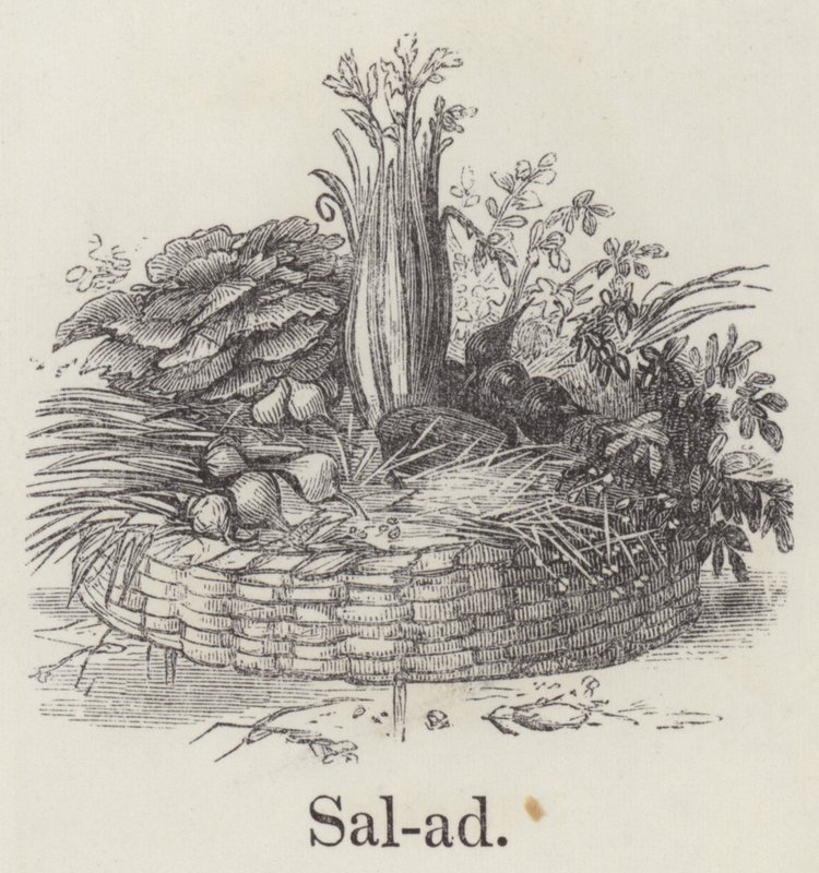 Salade - English School