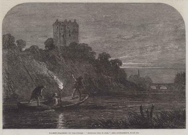 Braconnage de saumon sur la Tweed, "Brûler l