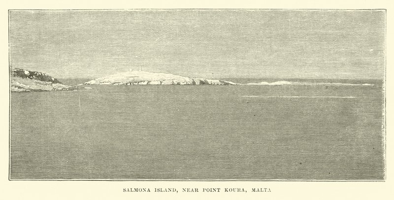 Île de Salmona, près de Point Koura, Malte - English School