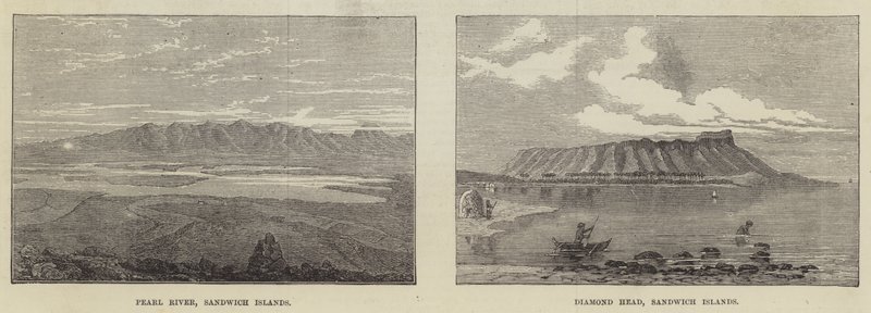 Îles Sandwich - English School
