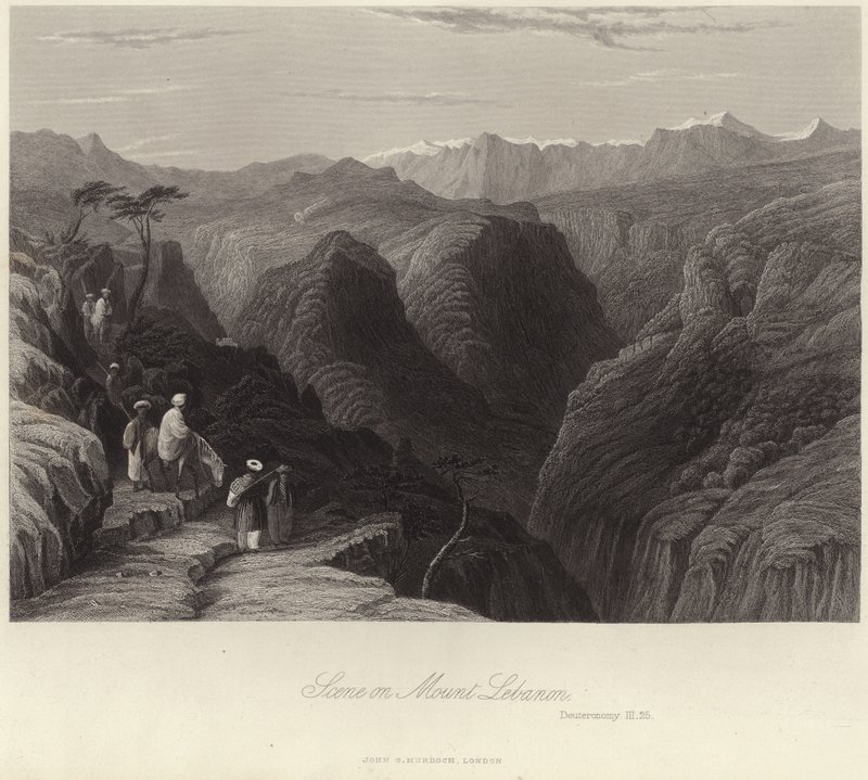 Scène sur le mont Liban - English School