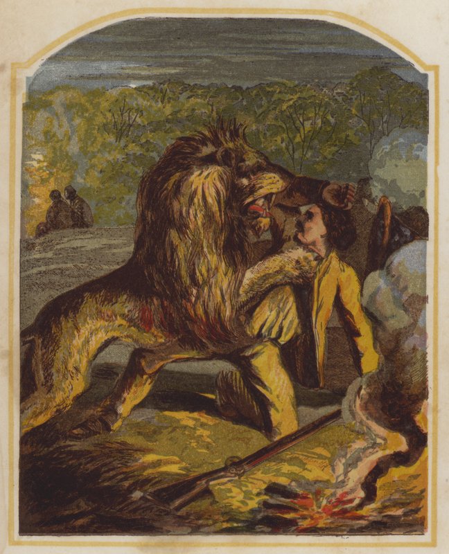 Le missionnaire écossais David Livingstone attaqué par un lion en Afrique (chromolithographie) - English School