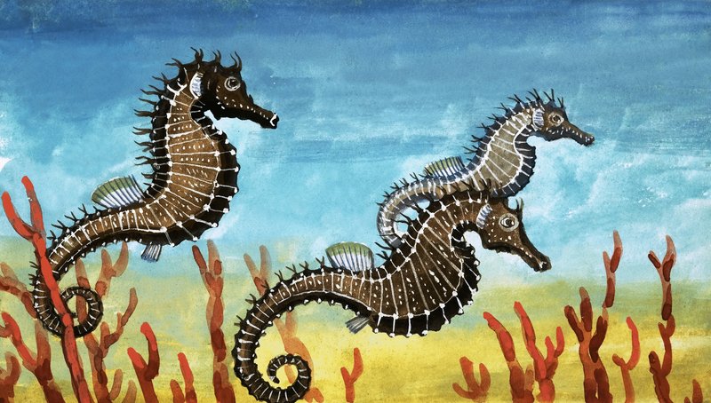 Hippocampes - English School