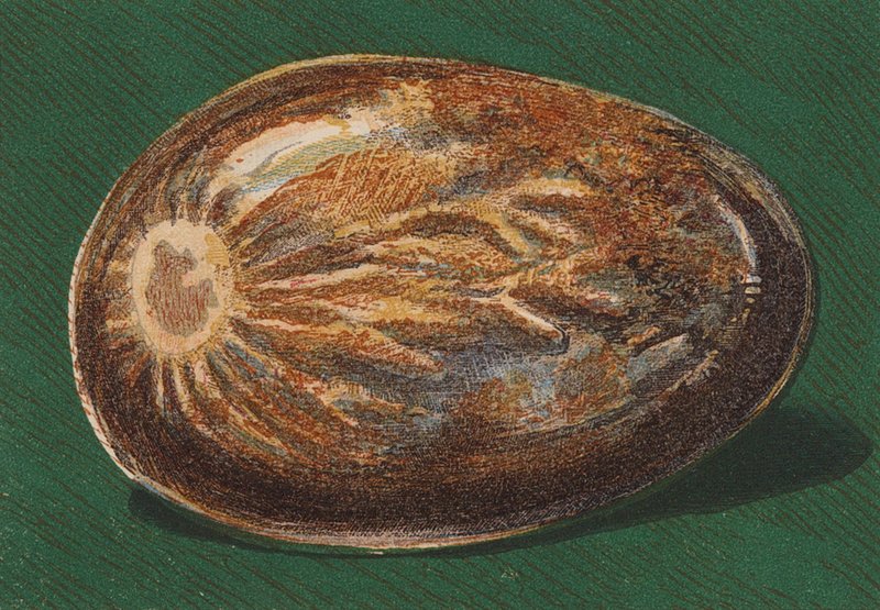 Galet de bord de mer - English School