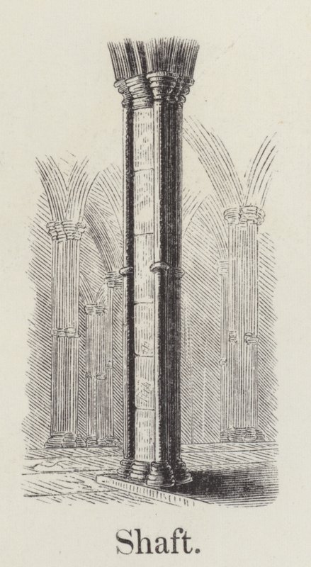 Arbre - English School