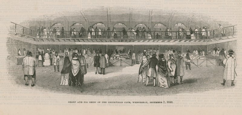 Exposition de moutons et de porcs du Smithfield Club - English School