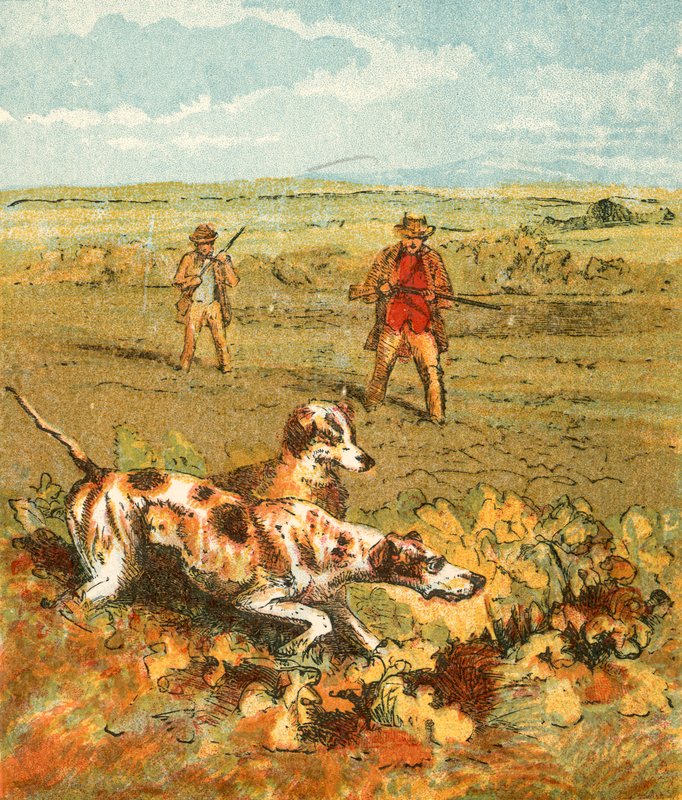 Chasse avec des pointeurs - English School