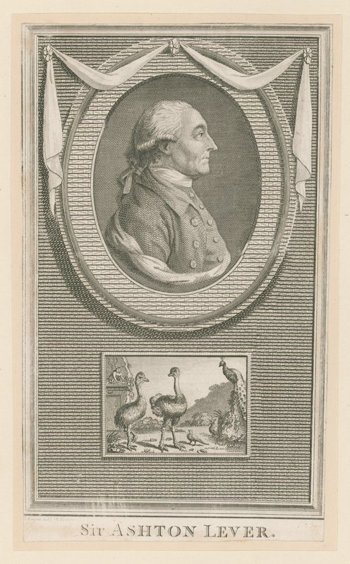 Sir Ashton Lever - English School