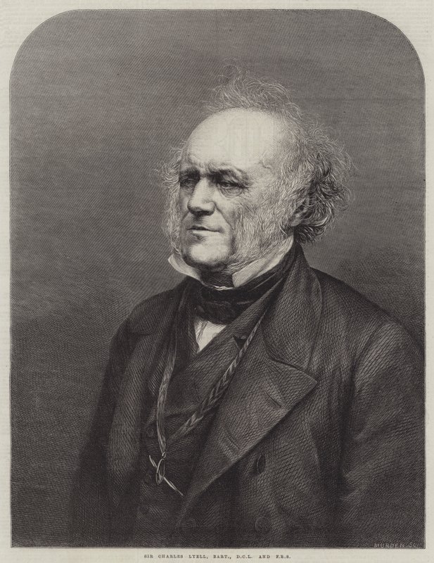 Sir Charles Lyell, baronnet, DCL et FRS (gravure) - English School