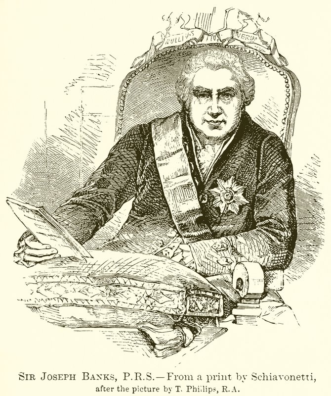 Sir Joseph Banks, P.R.S - English School