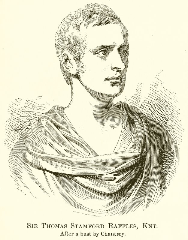 Sir Thomas Stamford Raffles, Knt - English School