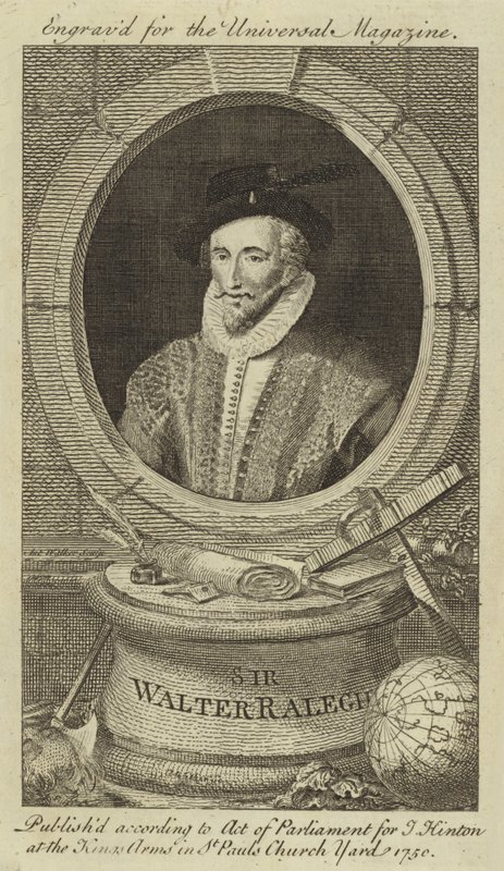 Sir Walter Raleigh - English School