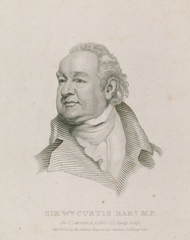 Sir William Curtis, Lord Maire de Londres - English School