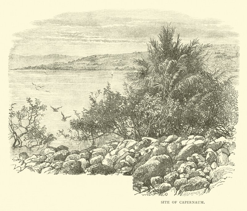 Site de Capharnaüm - English School