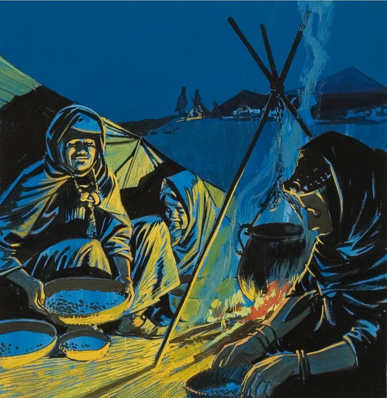 Assis près du feu de camp - English School