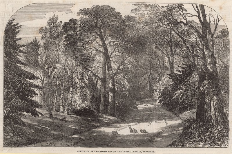 Croquis du site proposé du Crystal Palace, Sydenham - English School