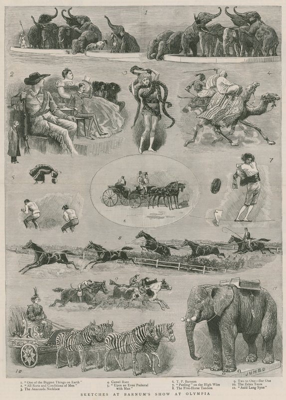 Croquis au spectacle de Barnum à Olympia, Londres - English School