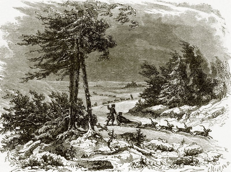 Traîneau et chiens sur l