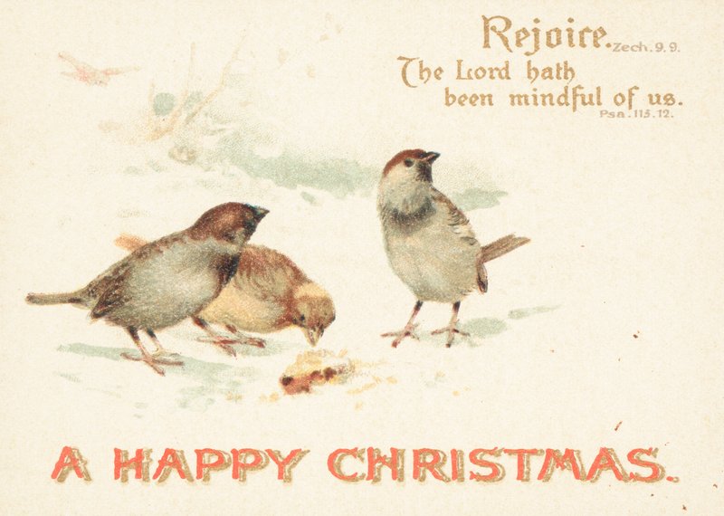 Moineaux dans la neige, Carte de Noël - English School