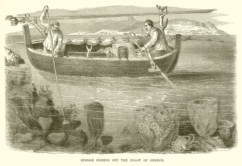 Pêche à l