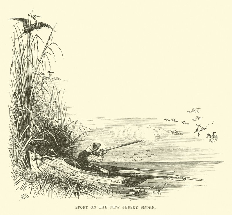 Sport sur la côte du New Jersey - English School