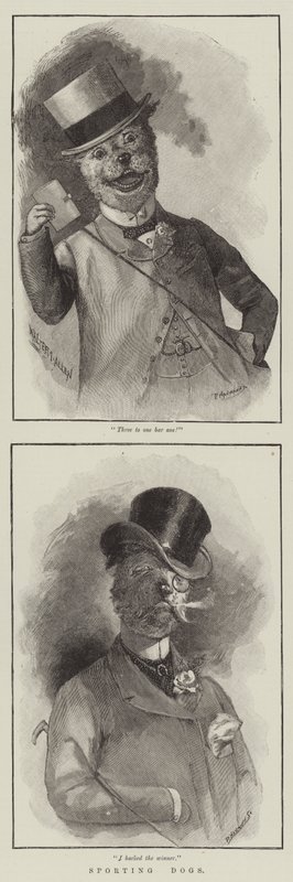 Chiens de chasse (gravure) - English School